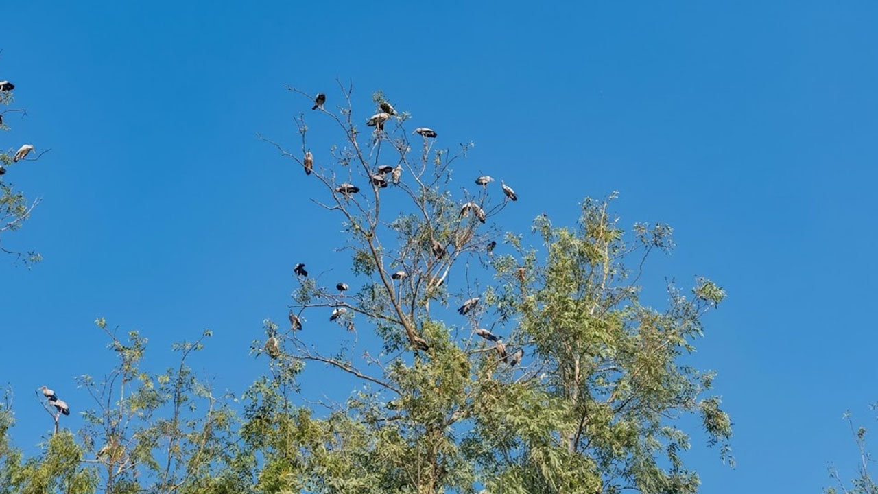 ছবি: এশিয়া পোস্ট