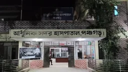 পঞ্চগড়ে শিয়ালের কামড়ে আহত ৭