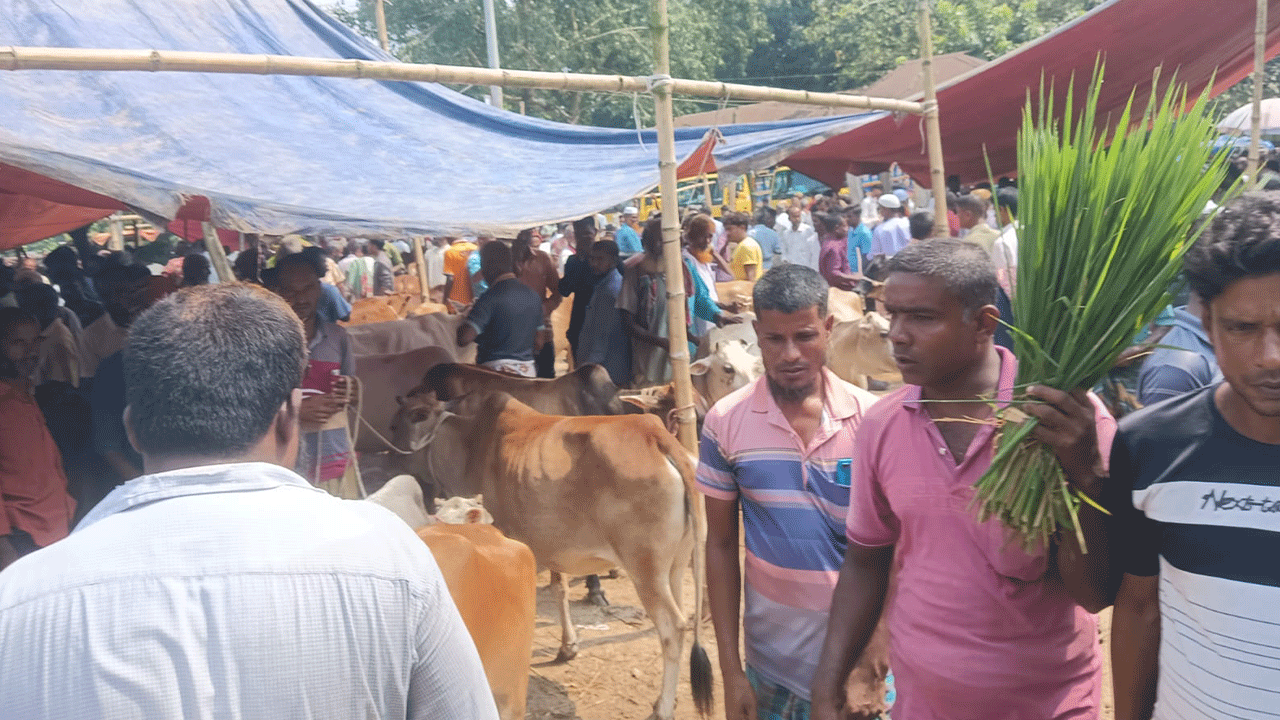 panchagarh-cow-haat