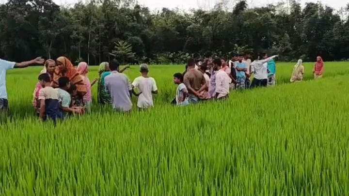 রাতে দাওয়াতে যাওয়ার কথা বলে বের হন হাছিনা, সকালে মিলল মরদেহ