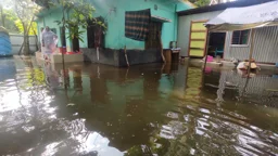 টুঙ্গিপাড়ায় শতাধিক পরিবার পানিবন্দি