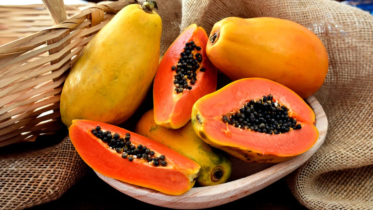 ছবি: ঢাকা পোস্ট