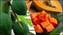 ৫ ধরনের ব্যক্তির জন্য পেঁপে খাওয়া বিপজ্জনক