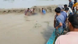 চাঁদা না পেয়ে চরের ঘাসে বিষ, মারা গেল তিন মহিষ