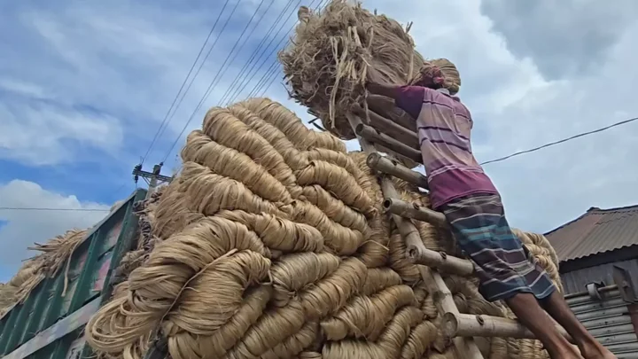 Farmers worry over fair price despite good jute yield