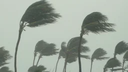 Storm forecast for 9 regions by noon