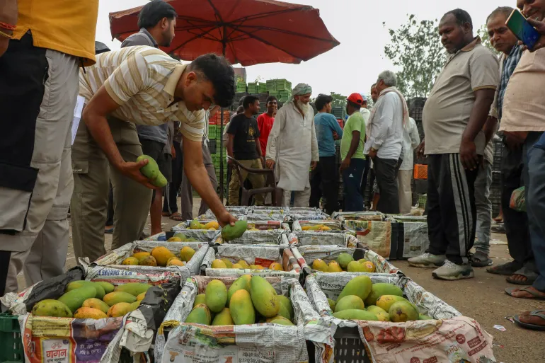 Why have several nations raised red flags over Indian farm exports