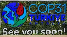 COP31 to focus on climate policies implementation -- Turkish official