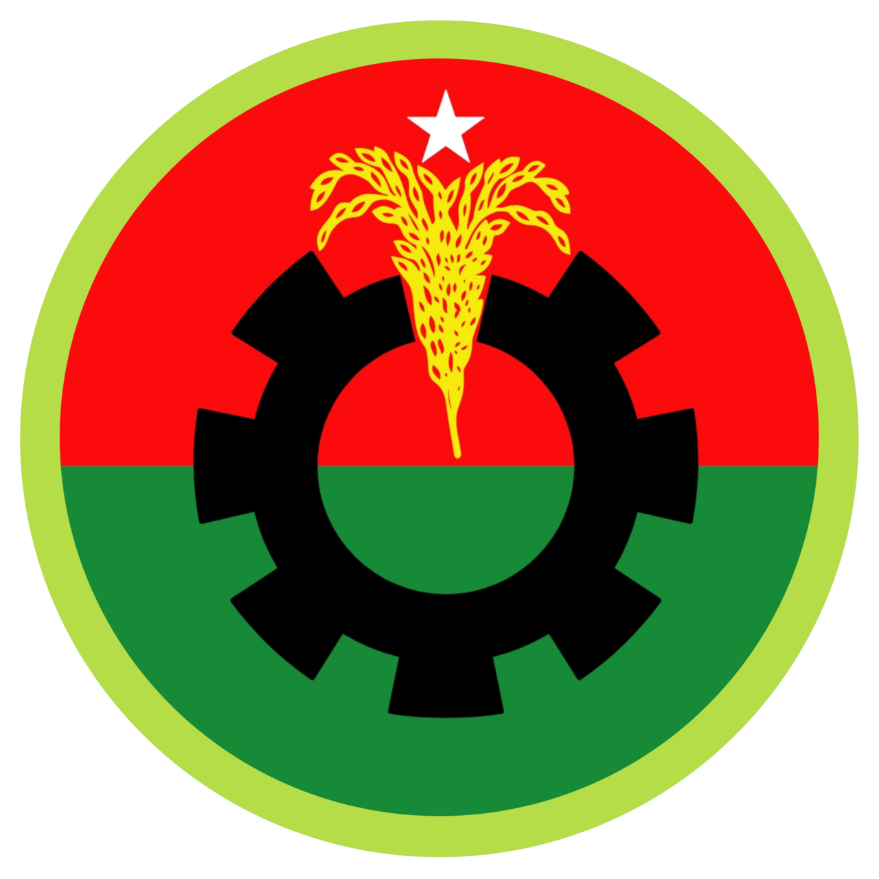 BNP to announce presidential candidate today amid speculation
