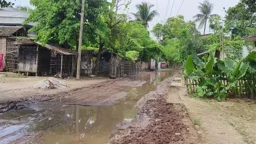 Dilapidated road disrupts life in 
several Chapainawabganj villages