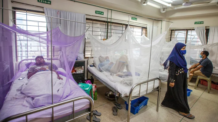 Dengue cases hit record daily high, deaths second-highest this year