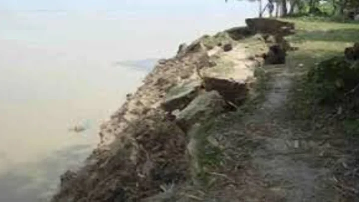 Dakope embankment breach puts 5,000 bighas of Aman paddy at risk