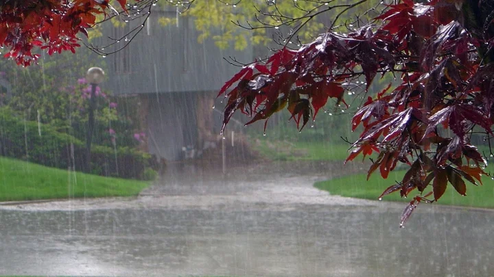 Rain forecast in parts of country
