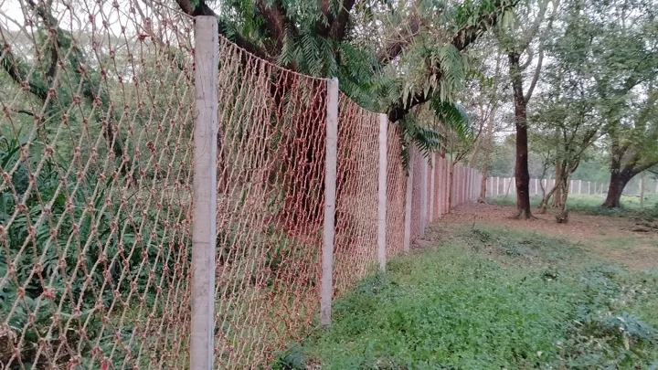New line of defence against human-tiger conflict in Sundarbans