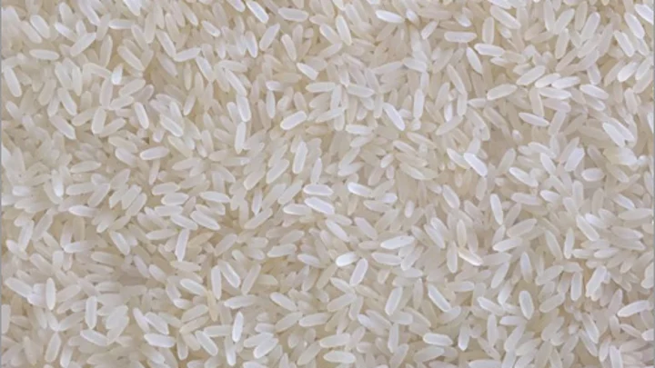 Cancer linked aflatoxin detected in 135 tonnes of Indian rice