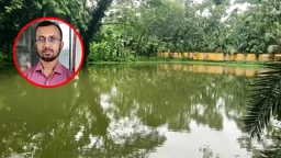 বদলির খবরের পর সরকারি পুকুরের মাছ ধরে নিলেন ভূমি কর্মকর্তা