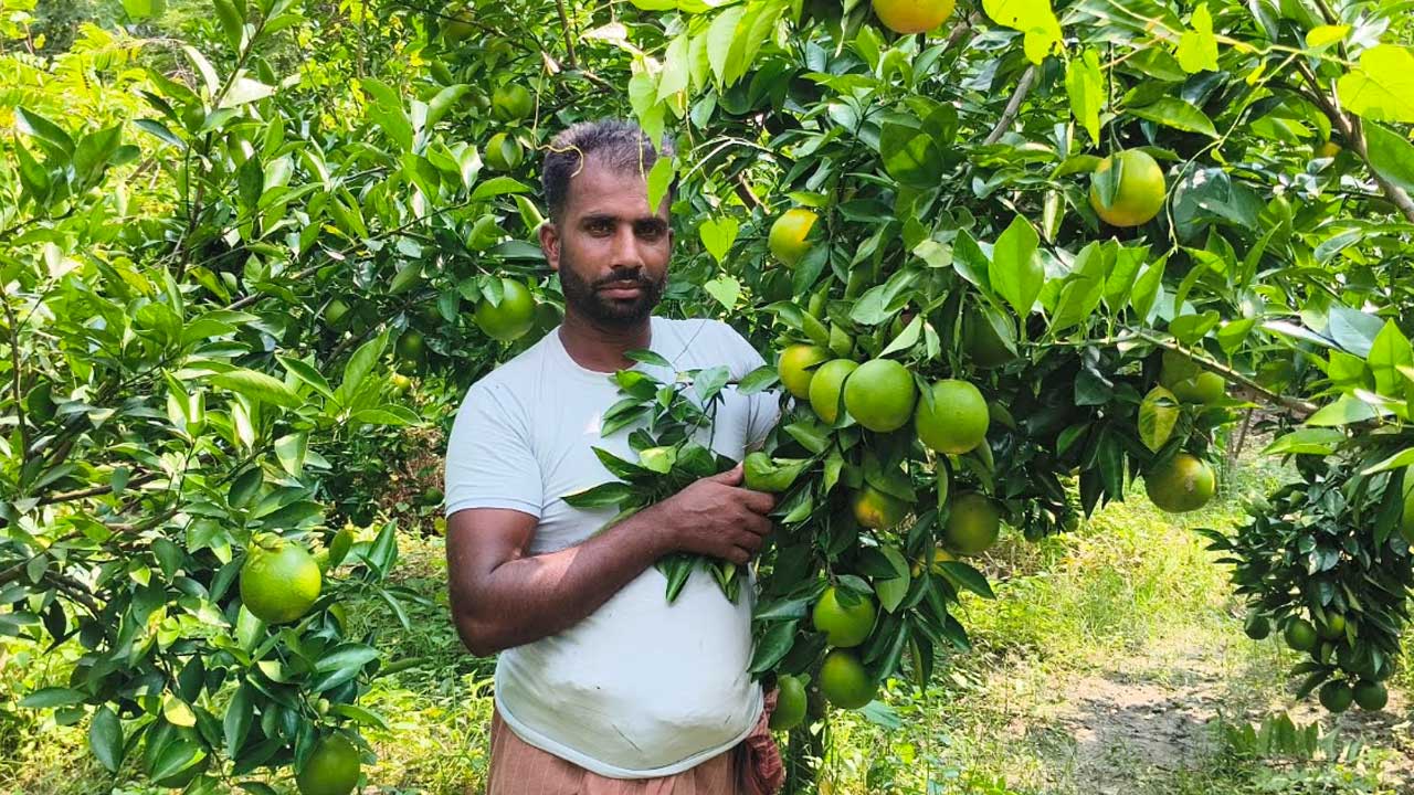 pirojpur-malta