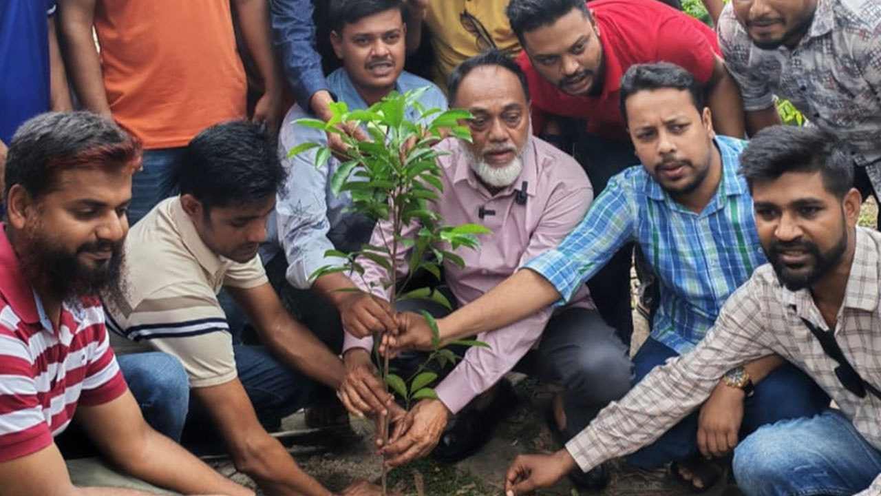 একটি গাছ, এক স্মৃতি—৭৩৪ নেতাকর্মীর স্মরণে বিএনপির ব্যতিক্রমী উদ্যোগ