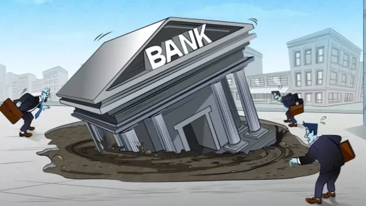 Anatomy of a collapse: Banking crisis and road to reform