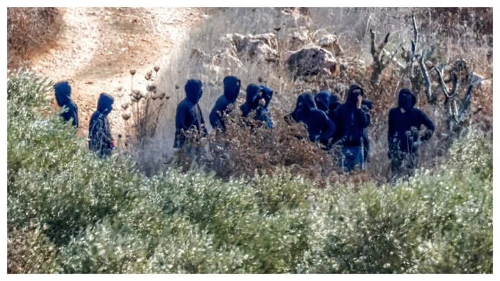 Thieving Israeli settlers hit Palestinian olive harvest hard in W. Bank