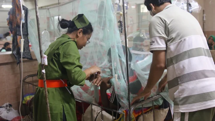 Dengue claims 7 more lives in 24 hrs; 1,373 patients hospitalised