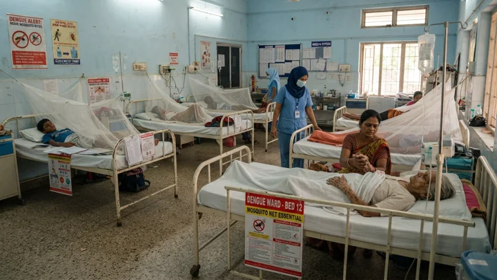 Nearly 300 died from dengue this year in Bangladesh