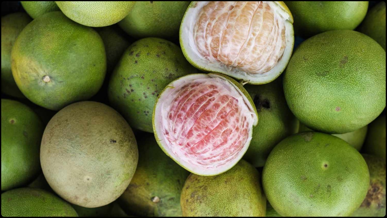 ছবি: হেল্থ