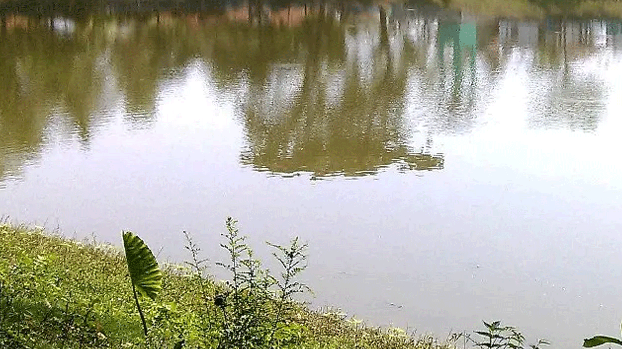 বোনকে বাঁচাতে গিয়ে প্রাণ গেল ভাইয়েরও