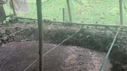 চাঁদপুরে পুকুর ভরাট করে বর্জ্য ফেলায় লাখ টাকা জরিমানা