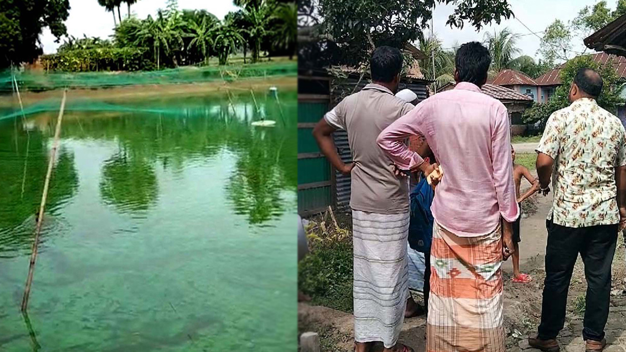 ছুটিতে শ্বশুরবাড়ি গিয়ে বিদ্যুতায়িত হয়ে জামাইয়ের মৃত্যু