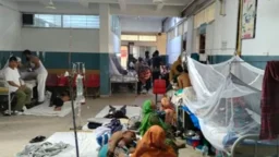 Dengue surge puts Narayanganj hospitals under strain, patients being treated on floors, verandas