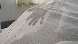 ‘Dhakai Muslin’ ready to spread wings on global market