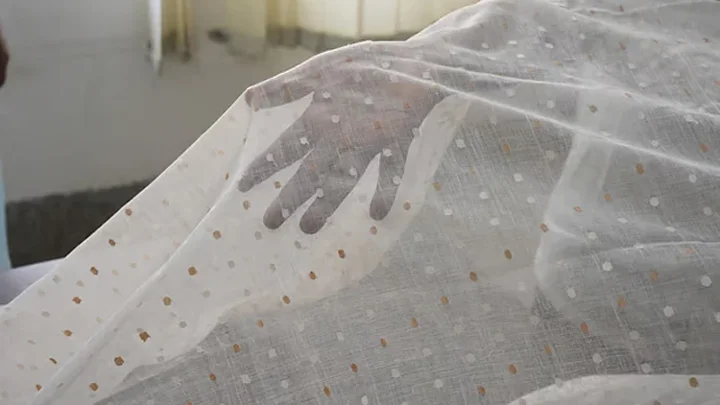 ‘Dhakai Muslin’ ready to spread wings on global market