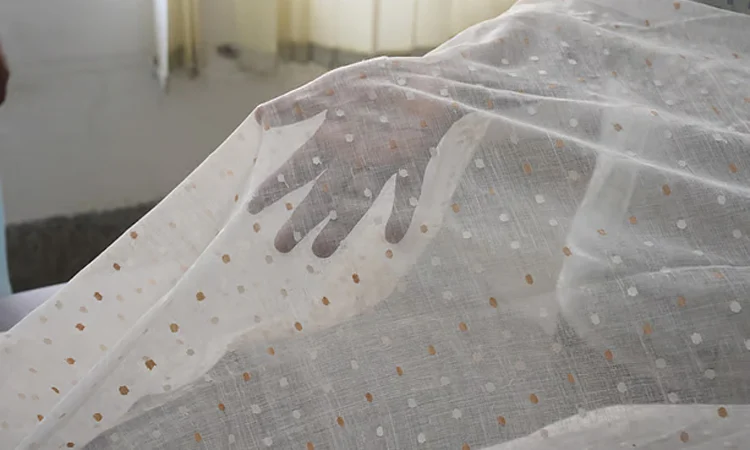 ‘Dhakai Muslin’ ready to spread wings on global market