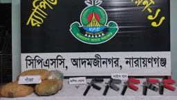 র‌্যাবের অভিযানে পাইপগানসহ সাড়ে ৪ কেজি গাঁজা উদ্ধার