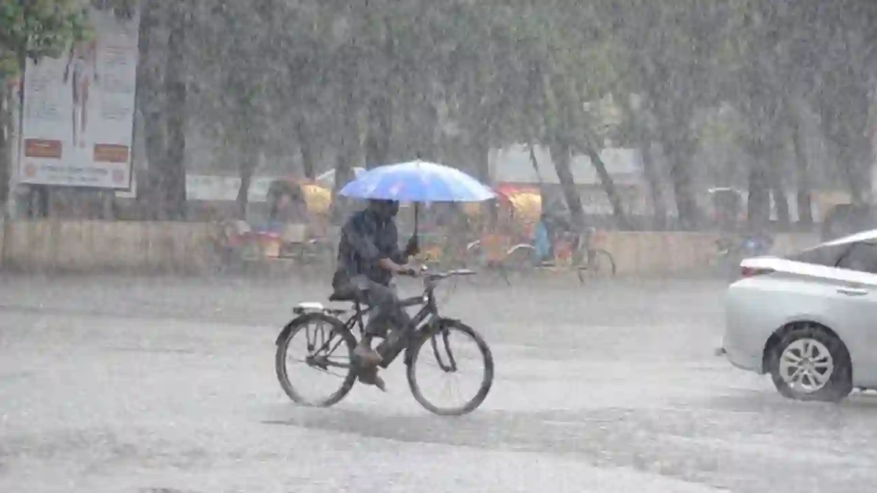 rain