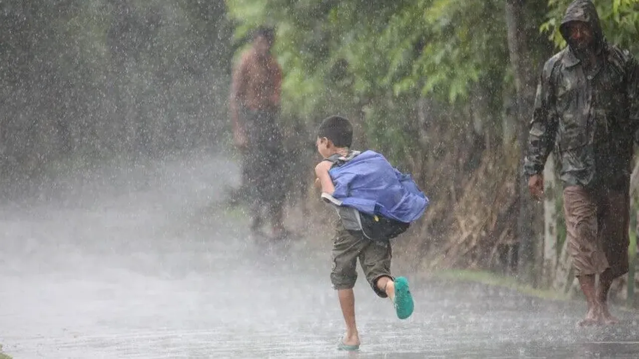 rain