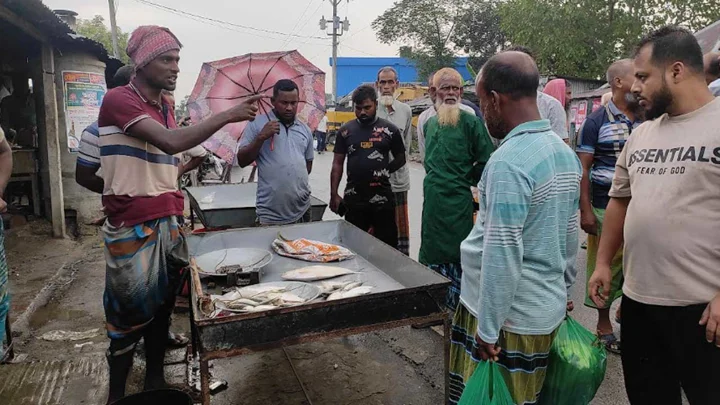 জাল ফেললেও নদীতে মিলছে না মাছ, খালি হাতে ফিরছেন জেলেরা