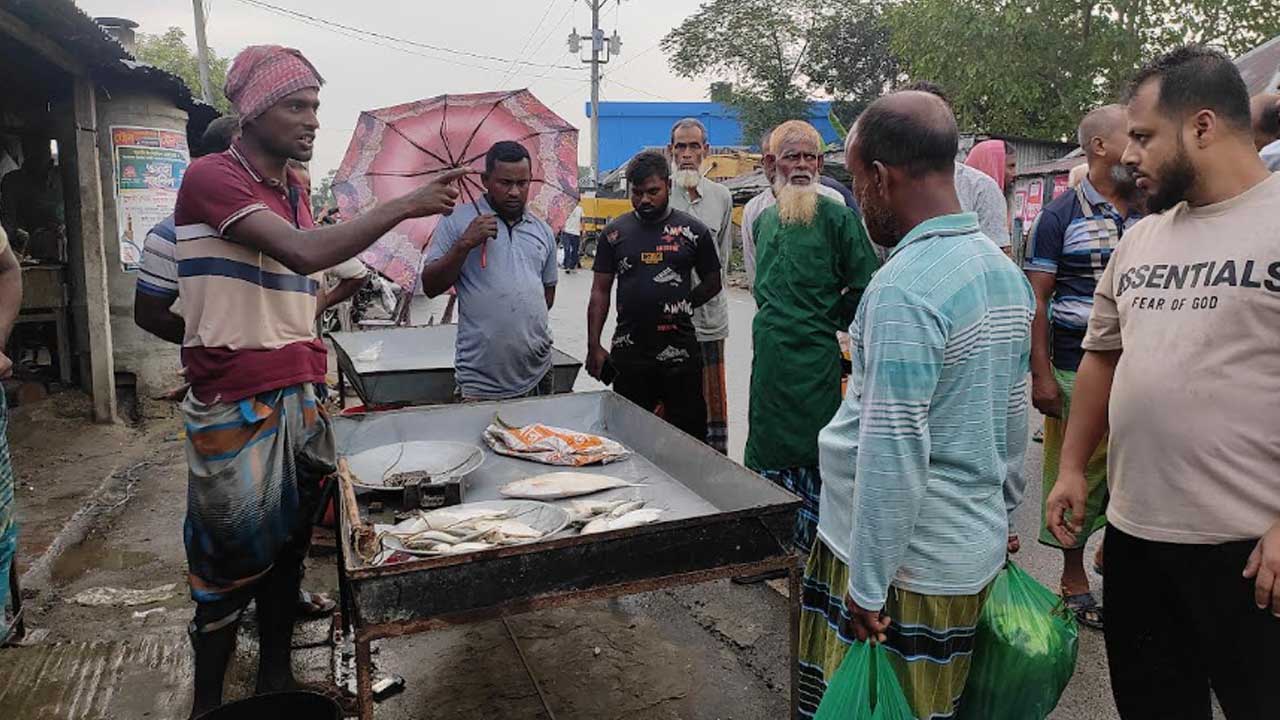 rajbari-hilsha-fish