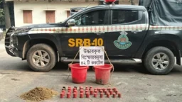 রাজবাড়ীতে আমবাগান থেকে ৪২টি অবিস্ফোরিত ককটেল উদ্ধার