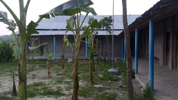 ছেলে ও পুত্রবধূকে ‘চাকরি না দেওয়ায়’ বিদ্যালয়ে তালা, মাঠে কলাগাছ রোপণ