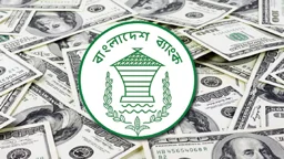 দেশে ২২ দিনেই রেমিট্যান্স এলো ২৬ হাজার কোটি টাকা