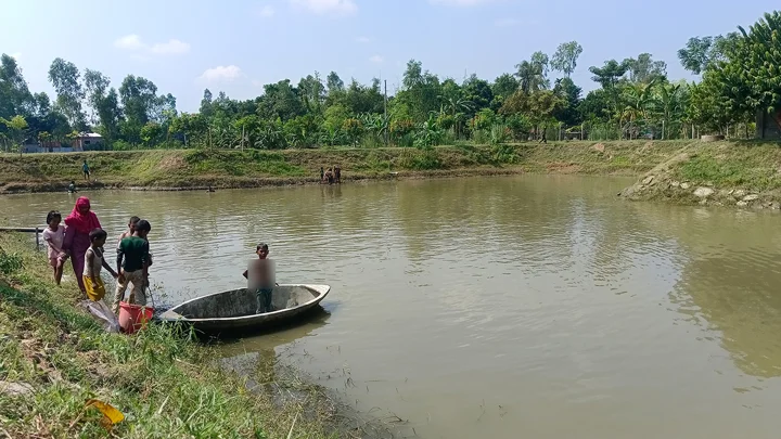 পুকুরে বিষ দিয়ে মাছ নিধনের অভিযোগ আ.লীগ নেতার বিরুদ্ধে