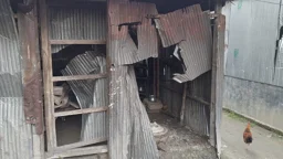 হামলা চালিয়ে লুট করা গরু দিয়ে আ.লীগ নেতাদের ভূরিভোজ