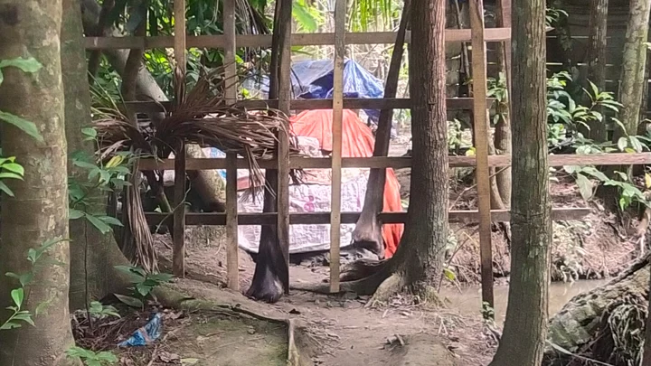 সালিশে সাক্ষী দেওয়ায় রাস্তায় বেড়া, অবরুদ্ধ ১২ পরিবার