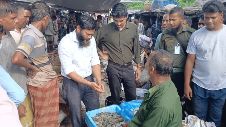 ওজন বাড়াতে চিংড়িতে জেলি, ব্যবসায়ীকে জরিমানা