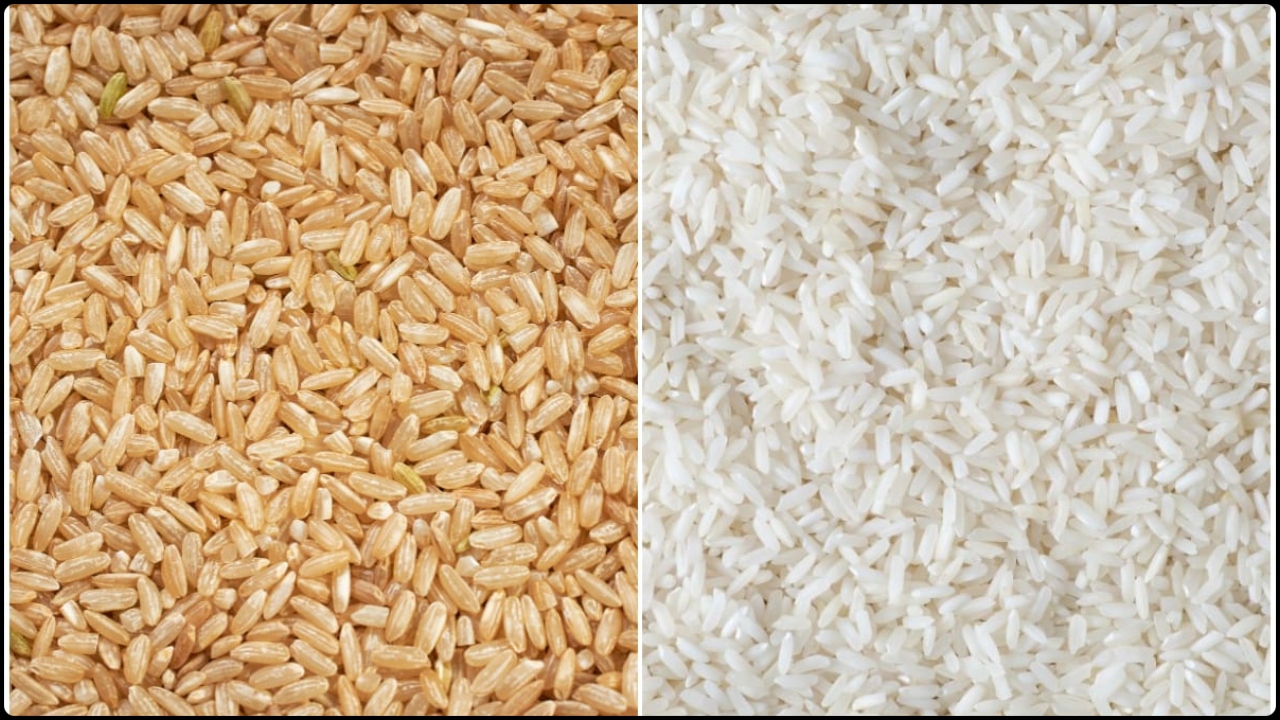 ছবি: লাইভলি টেবিল
