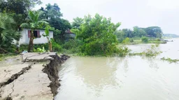 সুগন্ধায় বিলীন মসজিদ-বসতভিটা, ভাঙনের মুখে বাবুগঞ্জ বাজার