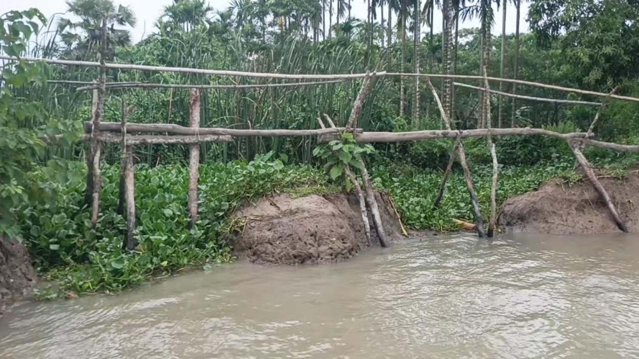 ছবি: এশিয়া পোস্ট