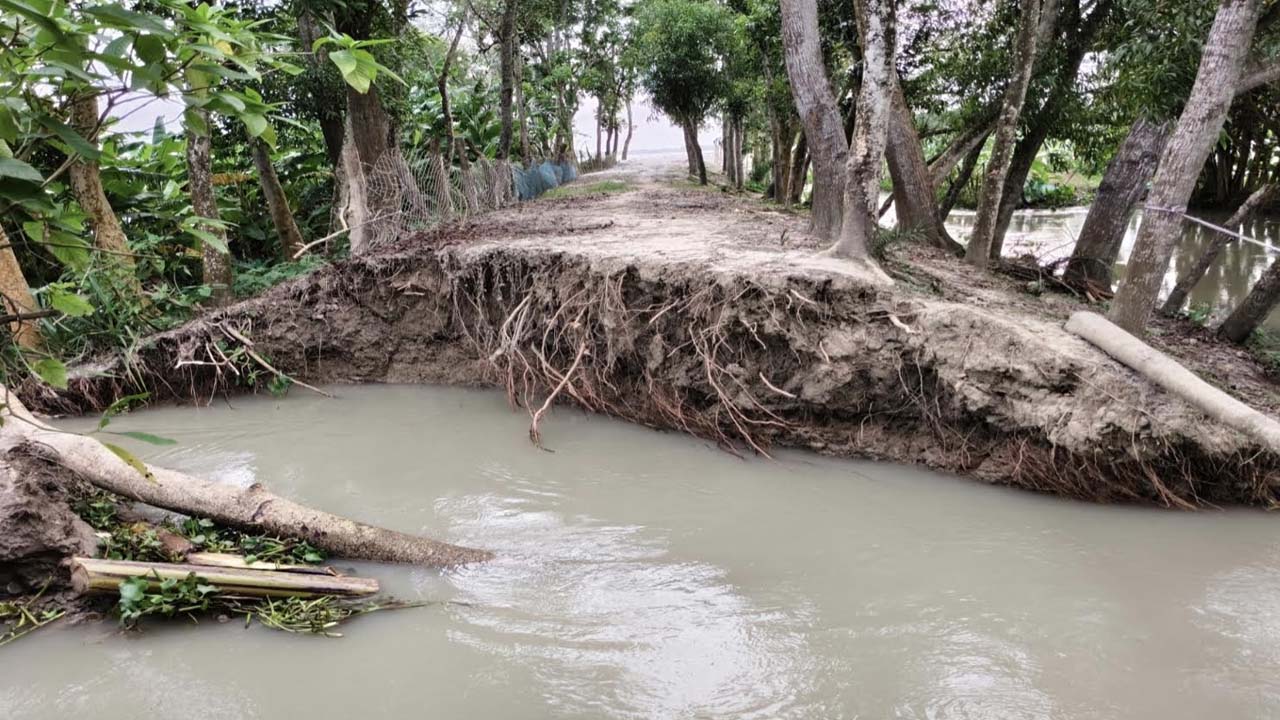 জিয়ানগরের পাড়েরহাট ইউনিয়নের টেংরাখালি গ্রামের অবদা এলাকার বেড়িবাঁধ ভেঙে পানি ঢুকছে। ছবি: এশিয়া পোস্ট
